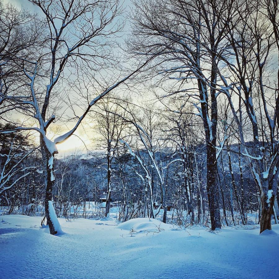 Rossi Star Apartment Hakuba Luaran gambar